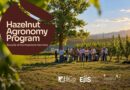 AL VIA LE ISCRIZIONI ALLA SECONDA EDIZIONE DELL’HAZELNUT AGRONOMY PROGRAM: FERRERO, EIIS E CONAF RAFFORZANO IL PERCORSO PER LA FILIERA ITALIANA DELLA NOCCIOLA